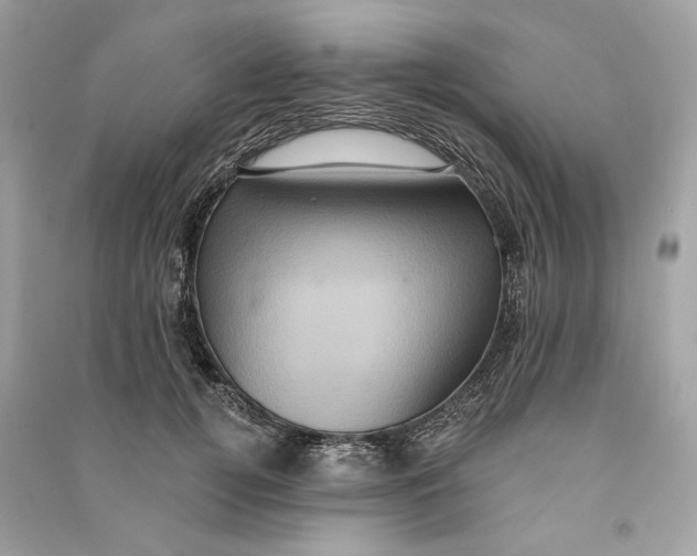 X0000090730752200708101639