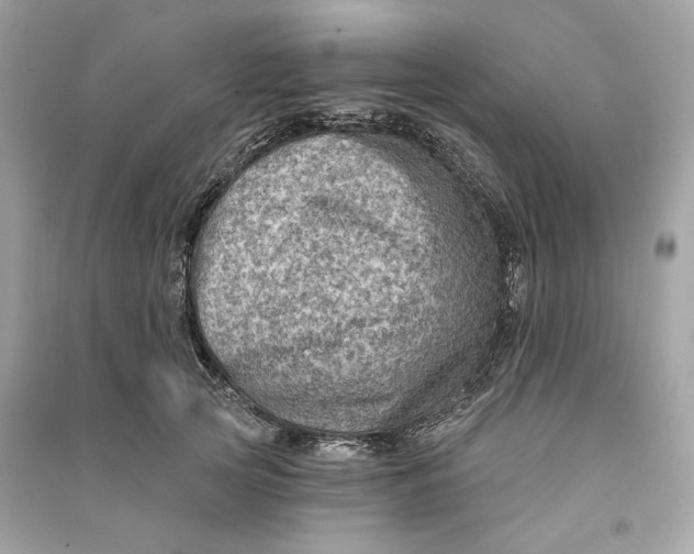 X0000090730753200708101639