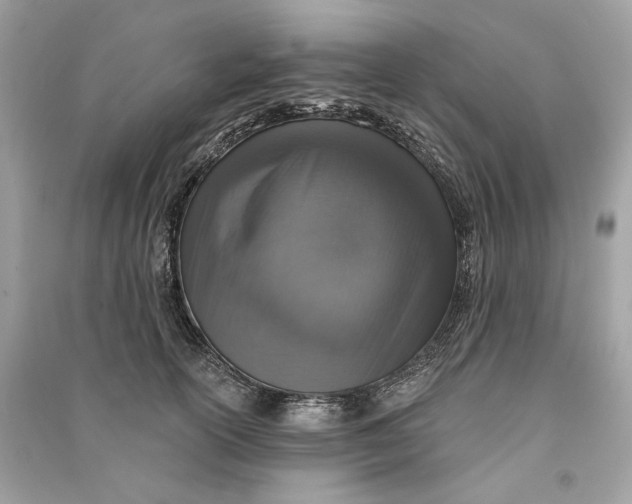 X0000090730754200708101639