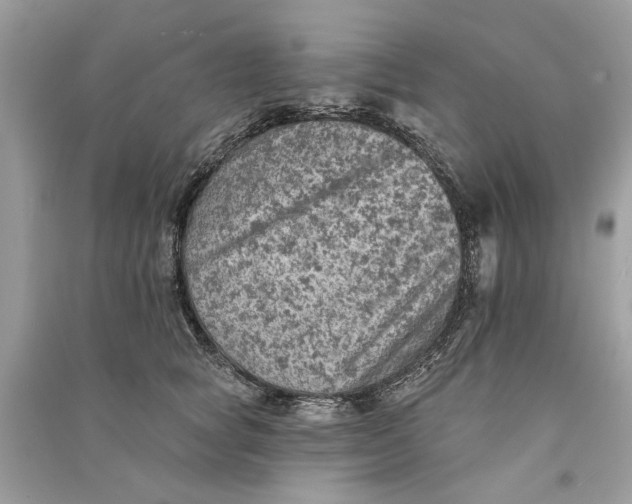 X0000090730757200708101639