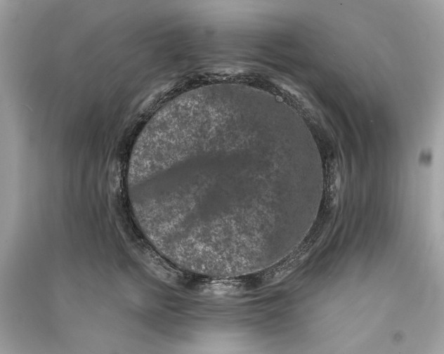 X0000090730758200708101639