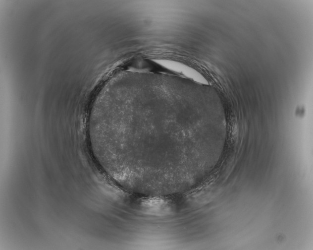 X0000090730759200708101639