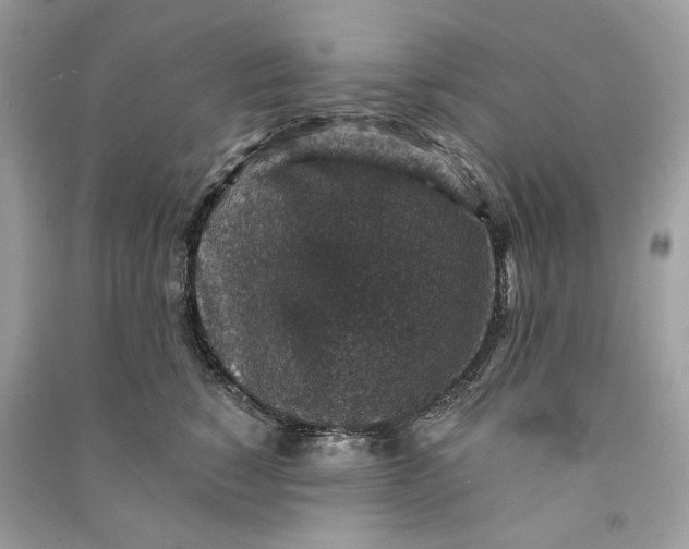 X0000090730760200708101639