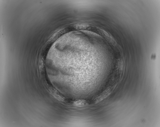 X0000090730761200708101639