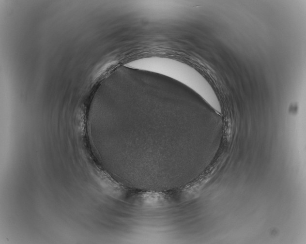 X0000090730762200708101639