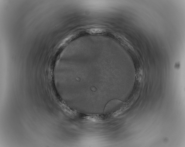 X0000090730763200708101639