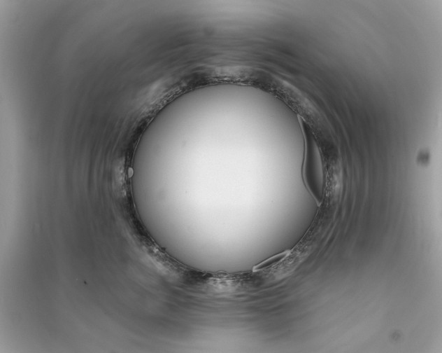 X0000090730764200708101639