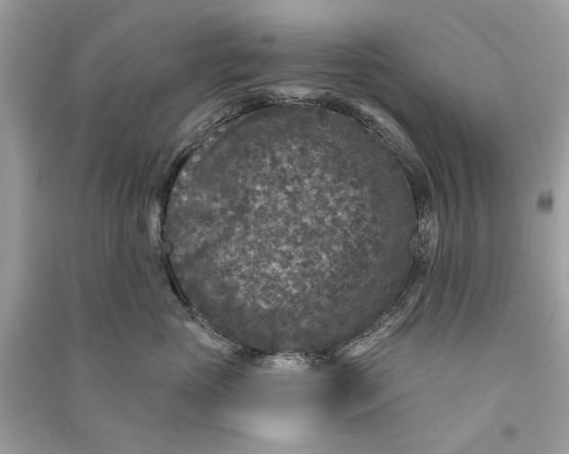 X0000090730765200708101639