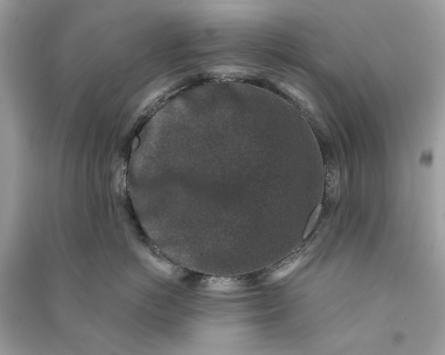 X0000090730766200708101639