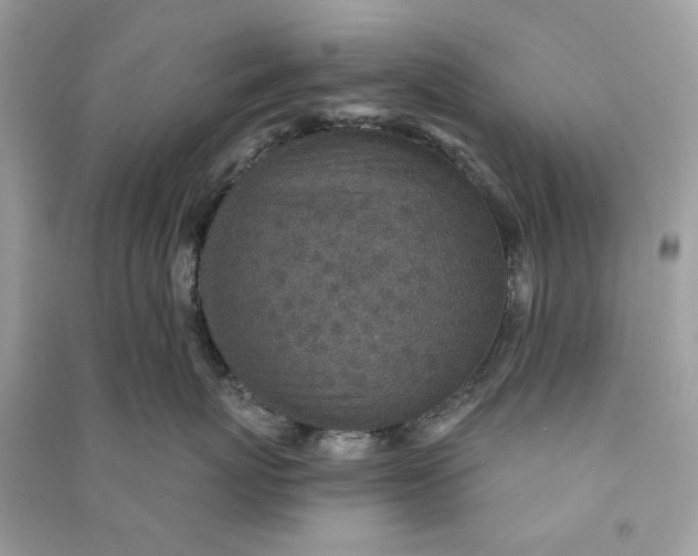 X0000090730767200708101639