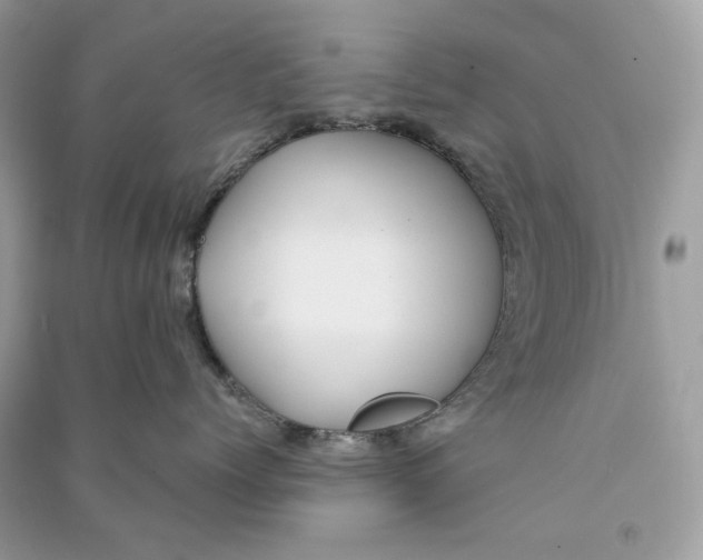 X0000090730768200708101639