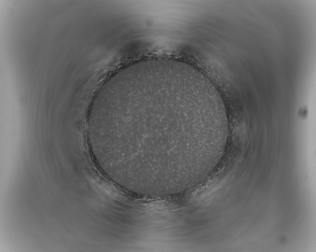 X0000090730769200708101639