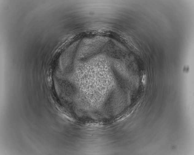 X0000090730771200708101639