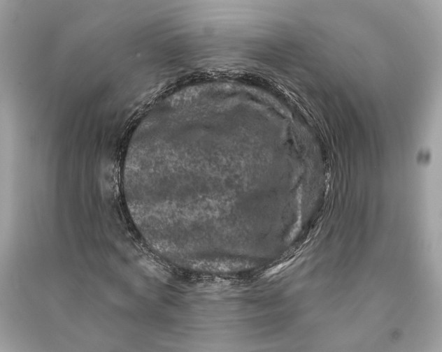 X0000090730772200708101639