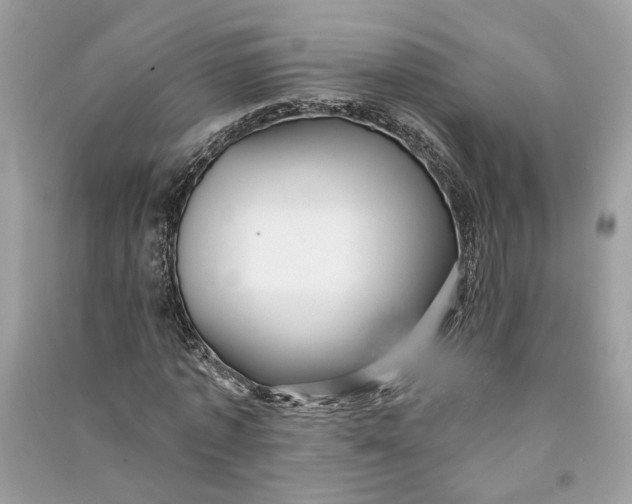 X0000090730773200708101638