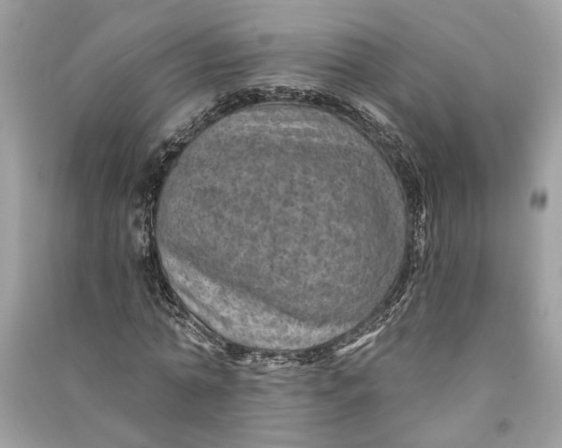 X0000090730774200708101638