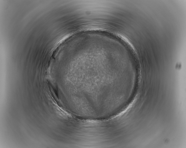 X0000090730777200708101638