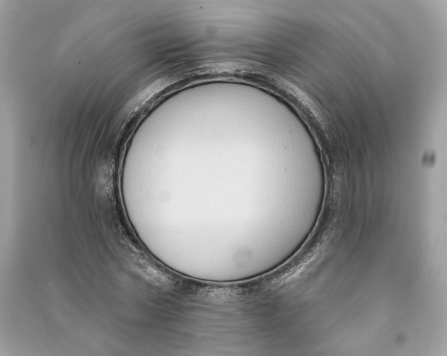 X0000090730778200708101638