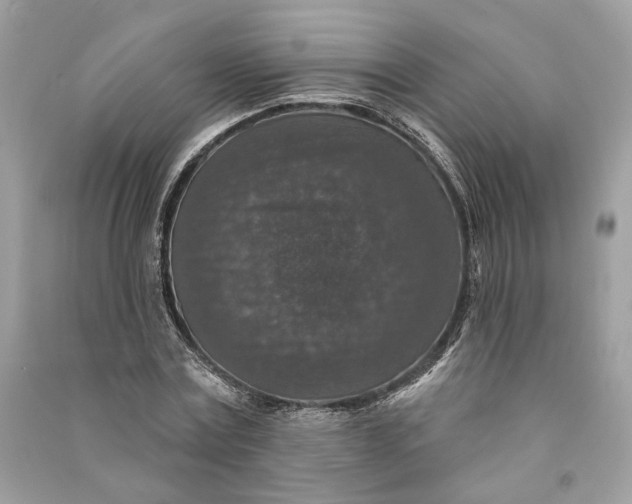 X0000090730779200708101638