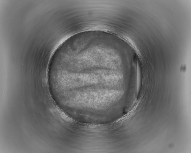 X0000090730780200708101638