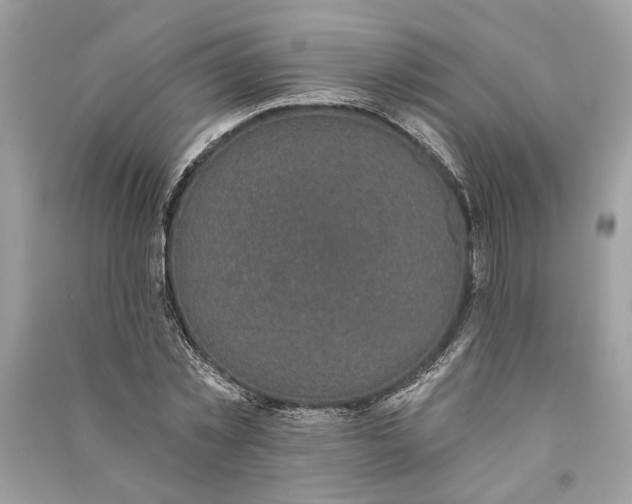 X0000090730781200708101638