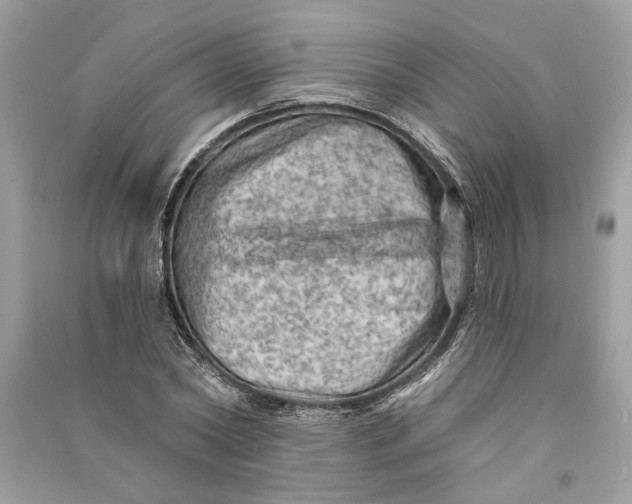 X0000090730782200708101638