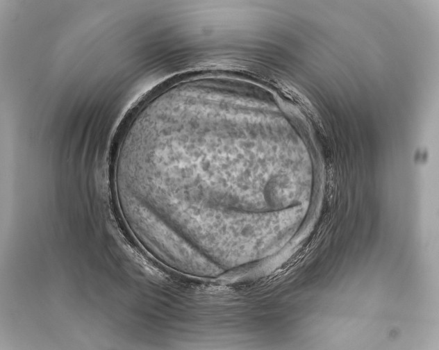 X0000090730784200708101638