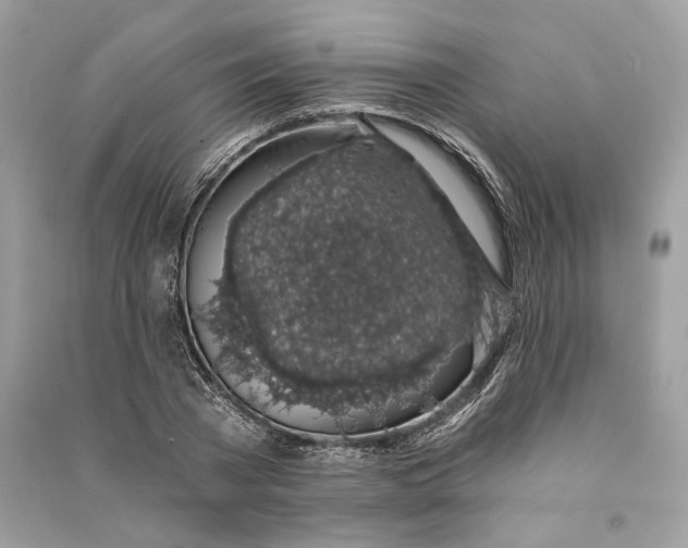 X0000090730785200708101638