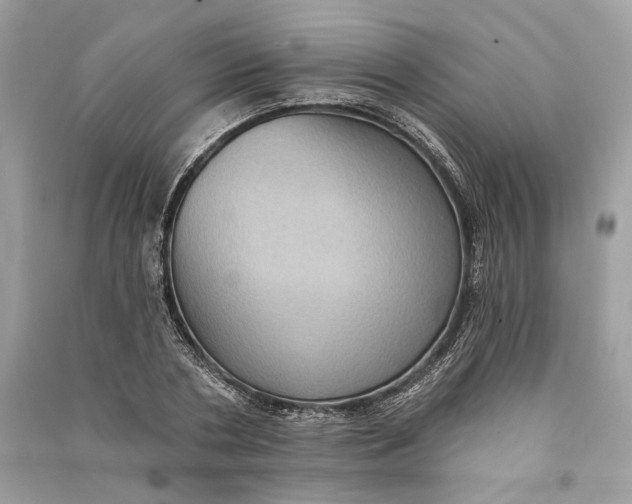 X0000090730786200708101638