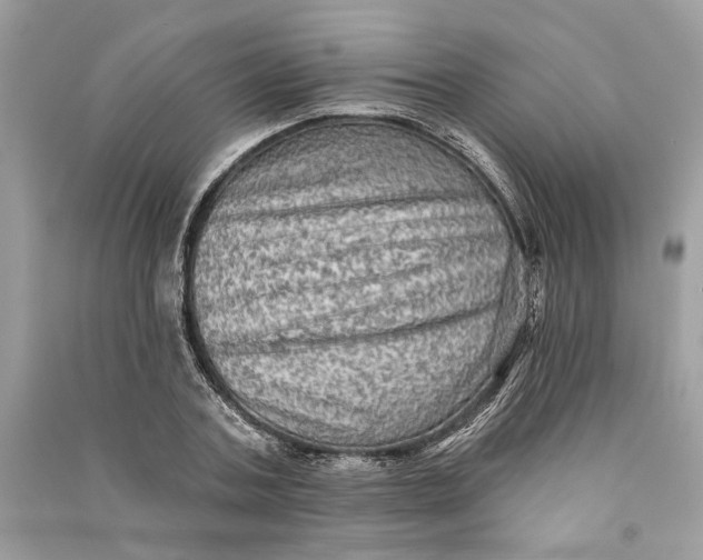 X0000090730787200708101638