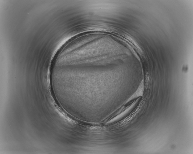 X0000090730788200708101638