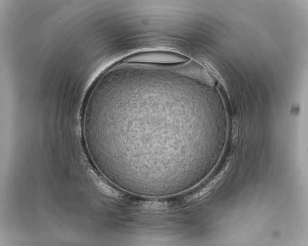 X0000090730789200708101638