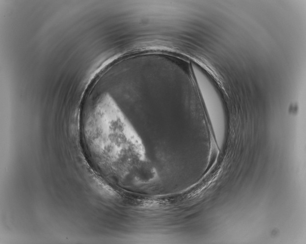 X0000090730790200708101638