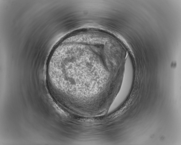 X0000090730791200708101638