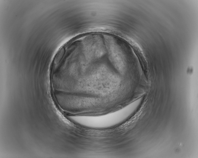 X0000090730792200708101638