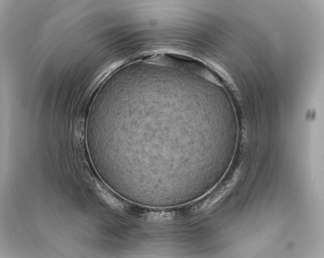 X0000090730793200708101638