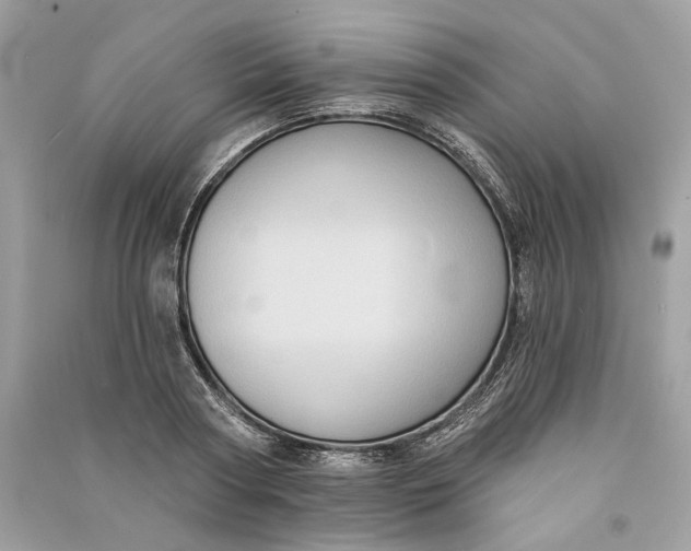 X0000090730794200708101638