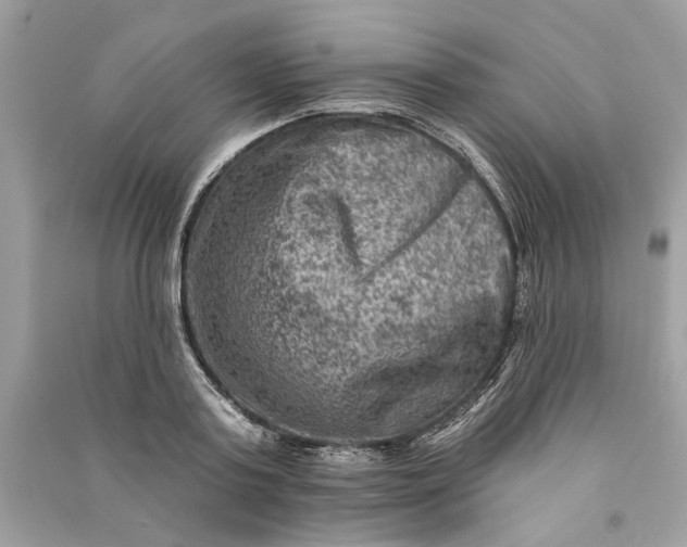 X0000090730795200708101638