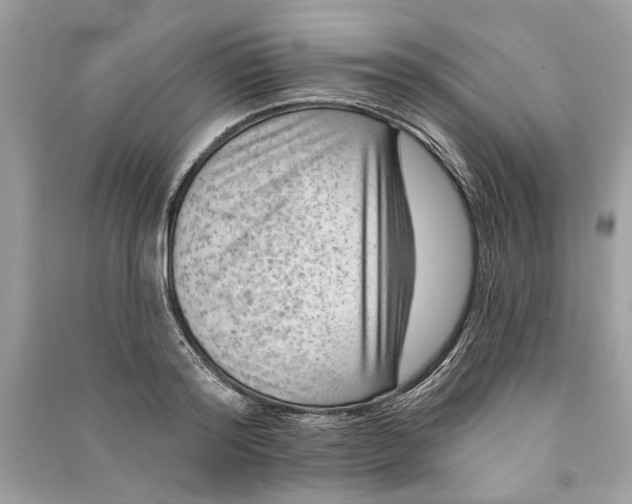 X0000090730796200708101638