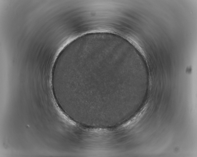 X0000090730797200708101638