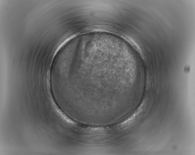 X0000090730798200708101638