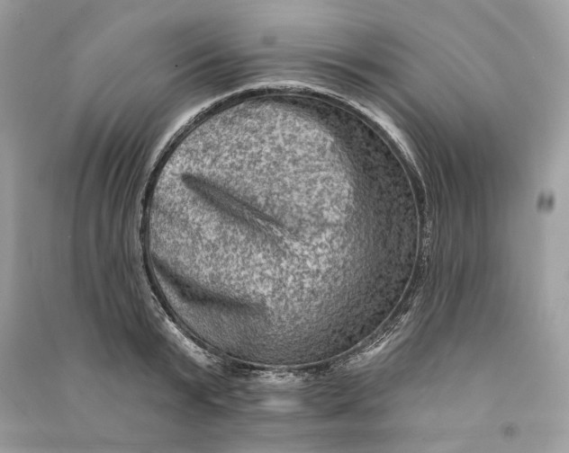 X0000090730799200708101638