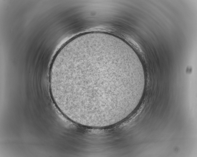 X0000090730800200708101638