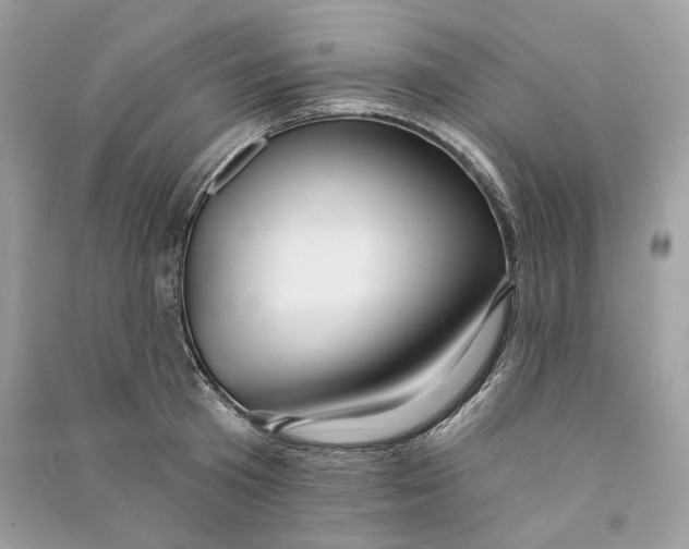 X0000090730801200708101638