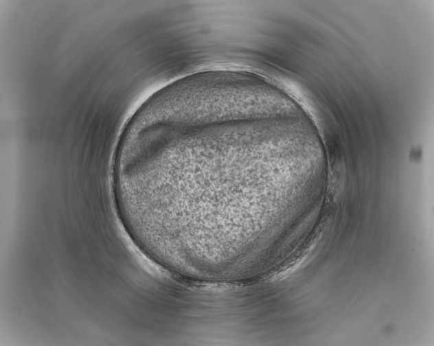 X0000090730803200708101638