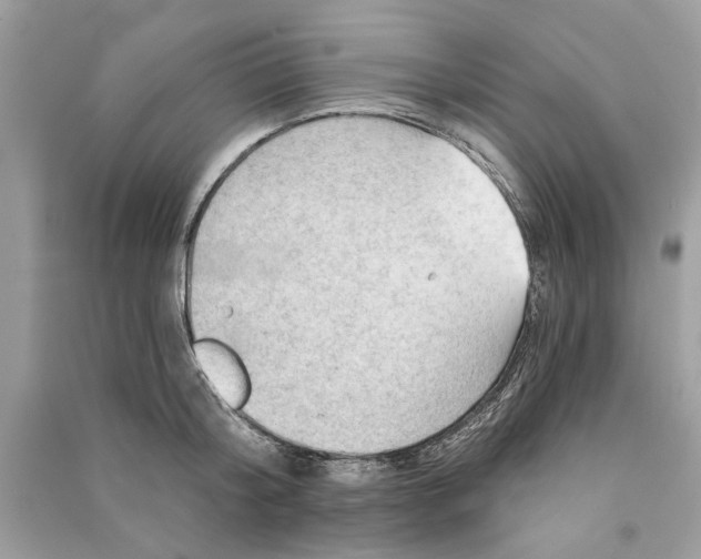 X0000090730804200708101638