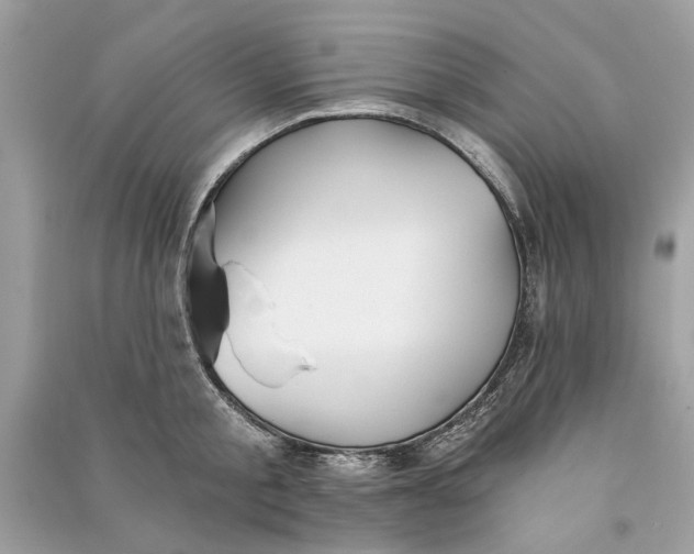 X0000090730805200708101638