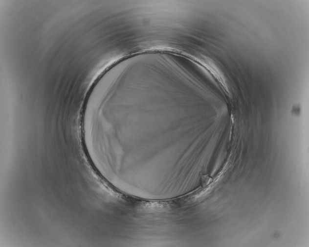 X0000090730806200708101638