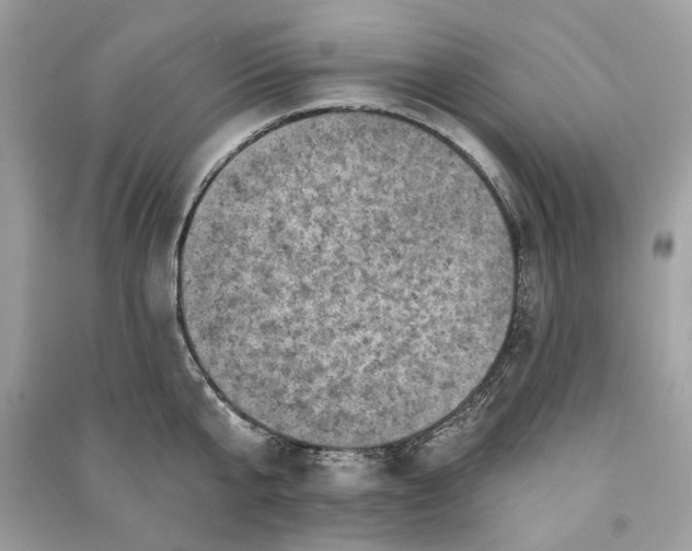 X0000090730807200708101638