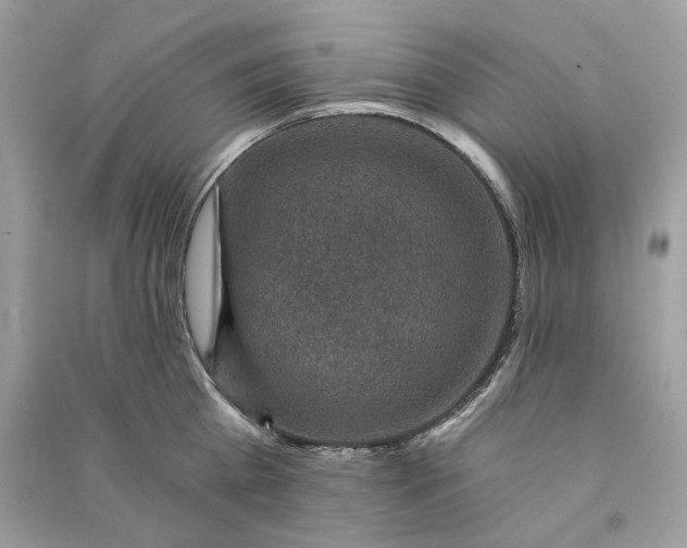 X0000090730809200708101638